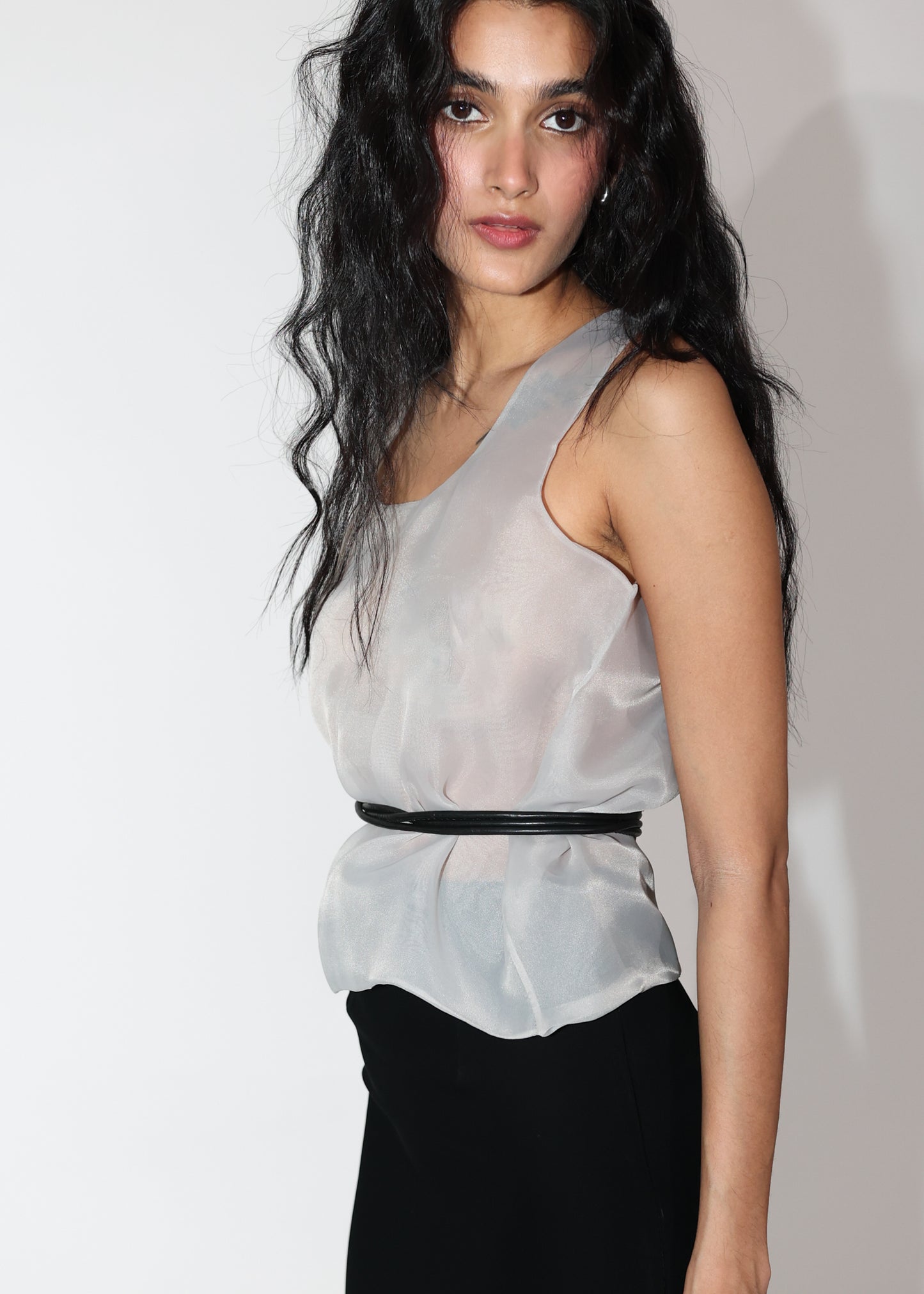 Semi Sheer Silver Blouse