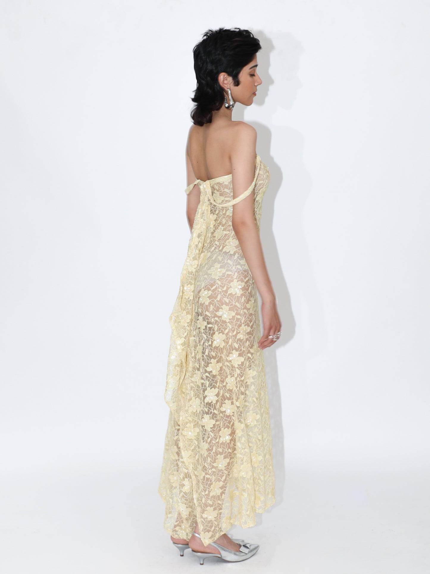 Long Lace Dress