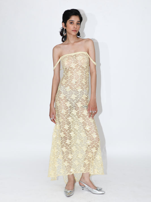 Long Lace Dress